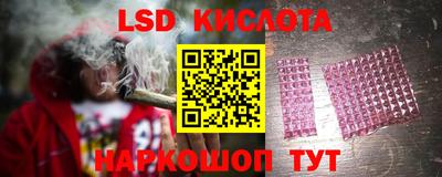 прущие грибы Краснодар