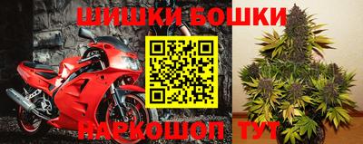 прущие грибы Краснодар