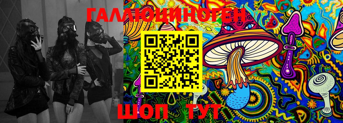 Псилоцибиновые грибы MAGIC MUSHROOMS  Вход с VPN  Зеленогорск 