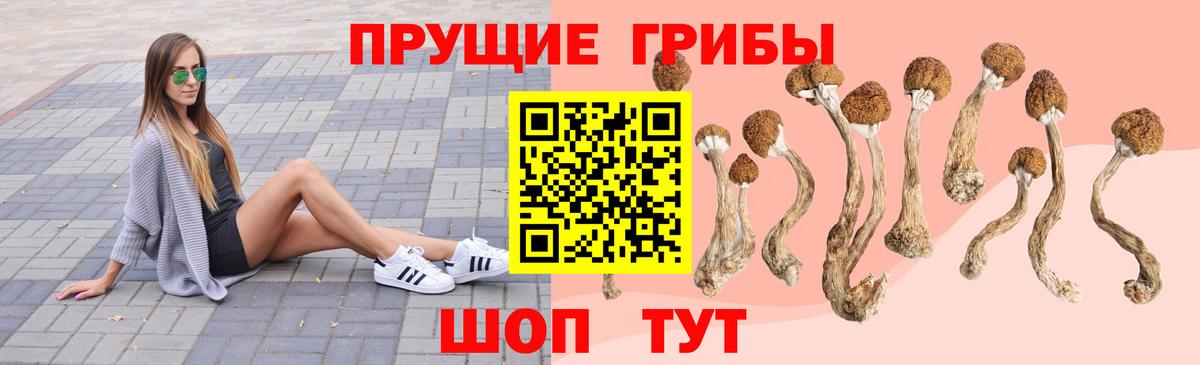 Галлюциногенные грибы GOLDEN TEACHER Зеленогорск